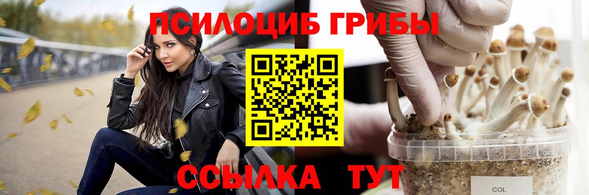 Псилоцибиновые грибы мицелий  Вход с VPN  Павлово 