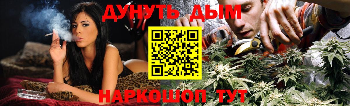 Каннабис Ganja Павлово